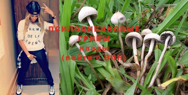 мяу мяу мука Осинники
