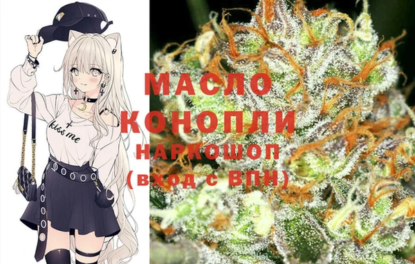 индика Пестово