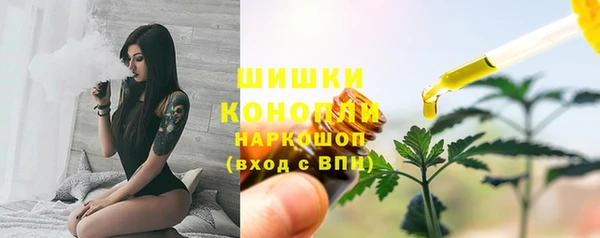 сатива Переславль-Залесский