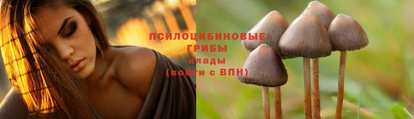 каннабис Осташков