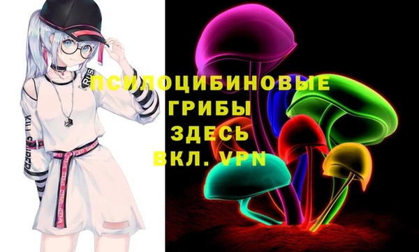 индика Пестово