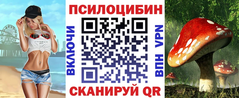 Купить закладки  Сосенский  Псилоцибиновые грибы GOLDEN TEACHER 
